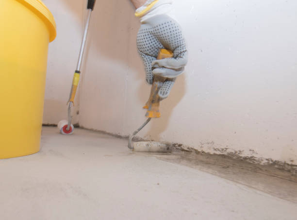 Best Pest Prevention Services  in Blooming Prairie, MN